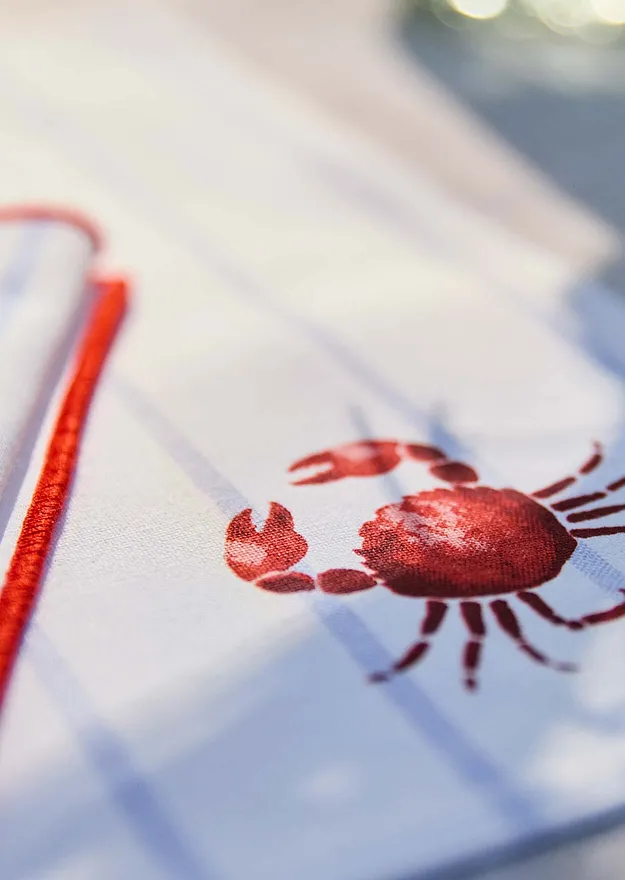 Hem - Bordstablett av ekologisk bomull (2-pack) - puderblå/röd/vit randig