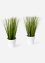 Konstväxt Dekorativt gräs (2-pack), bpc living bonprix collection