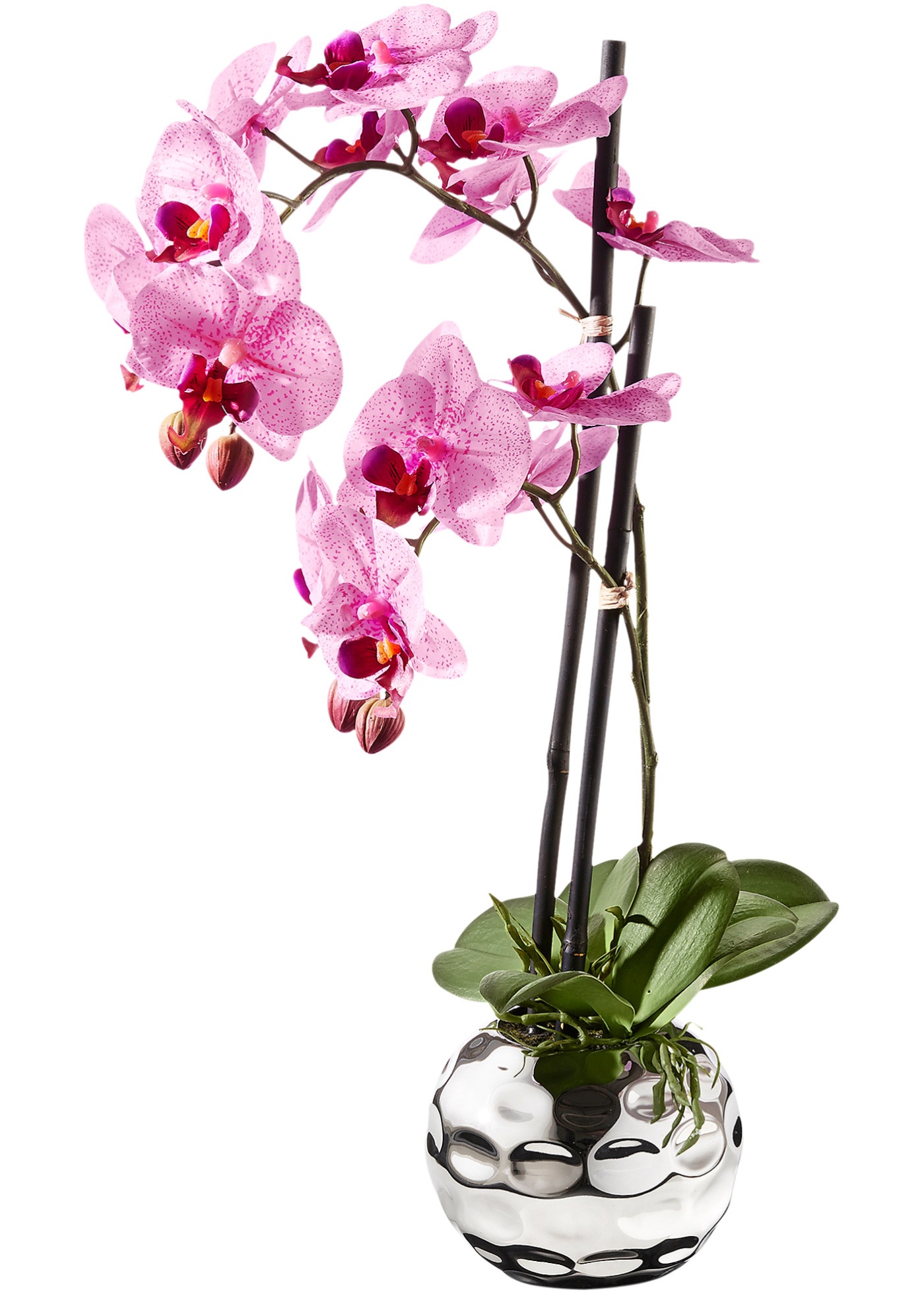 Konstblomma orkidé