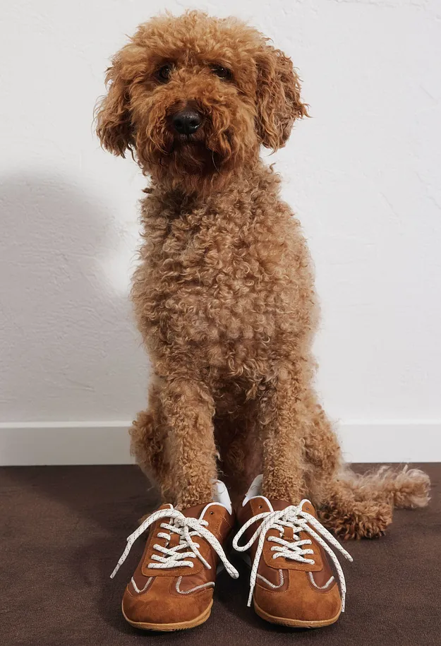 Dam - Sneakers i retrostil - brun