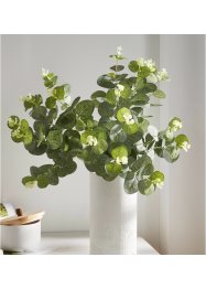 Konstblomma med eukalyptusblad, bpc living bonprix collection