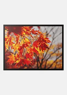 Dörrmatta med höstmotiv, bonprix