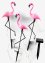 Solcellslampa flamingo (3-pack), bpc living bonprix collection