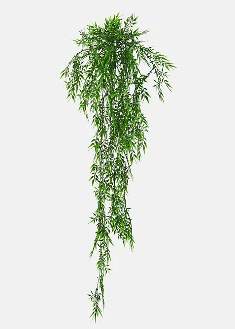 Konstbambu, bonprix