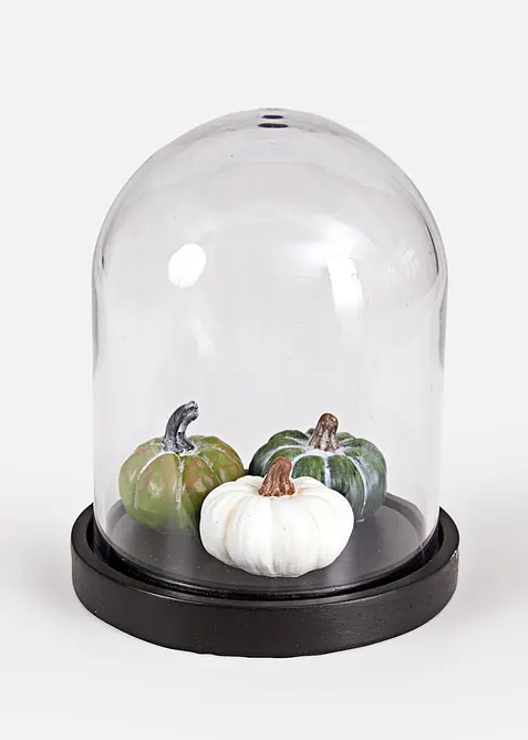 Prydnadsf&ouml;rem&aring;l, pumpor under glaskupa, bonprix