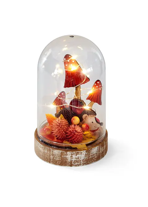 Prydnadssvampar med LED-belysning, bonprix