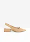 kamel