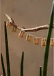 LED-ljusslinga med bambu, bonprix